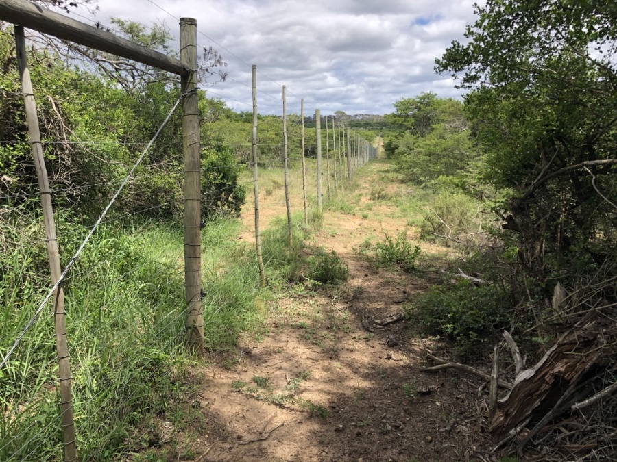 Commercial Property for Sale in Bathurst Rural Eastern Cape